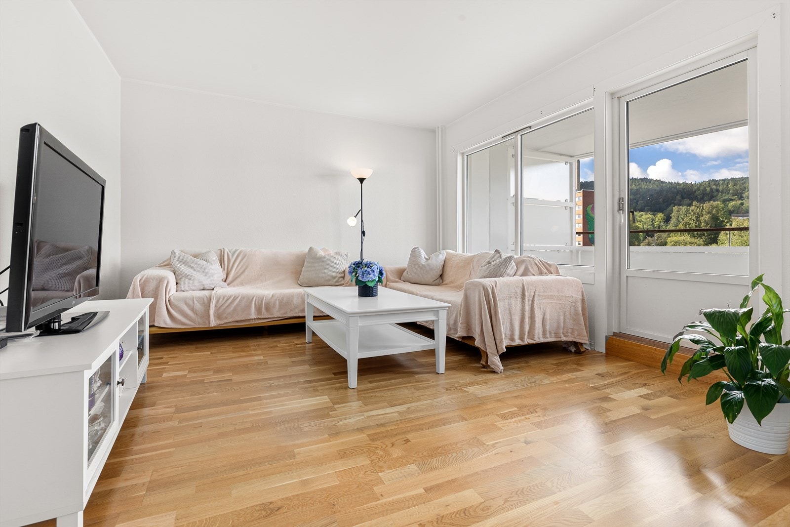 God plass til stor sofagruppe og annet møblement Galleribilde