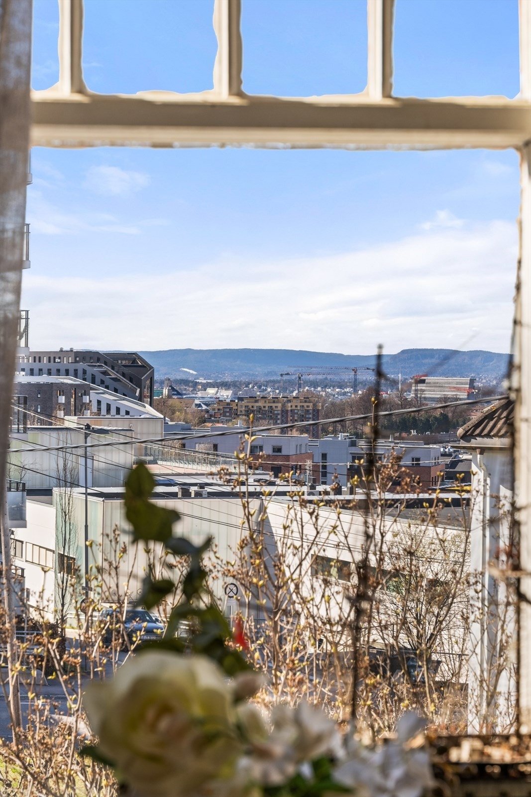 Flott utsikt fra stuevinduet. Galleribilde