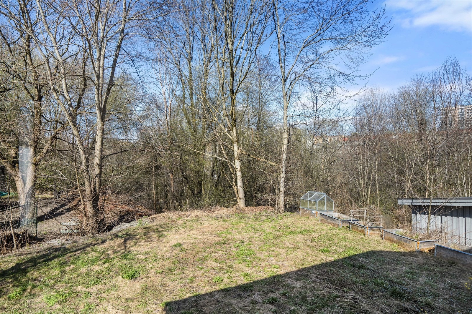 Stor og flott hage med mye potensiale. Galleribilde