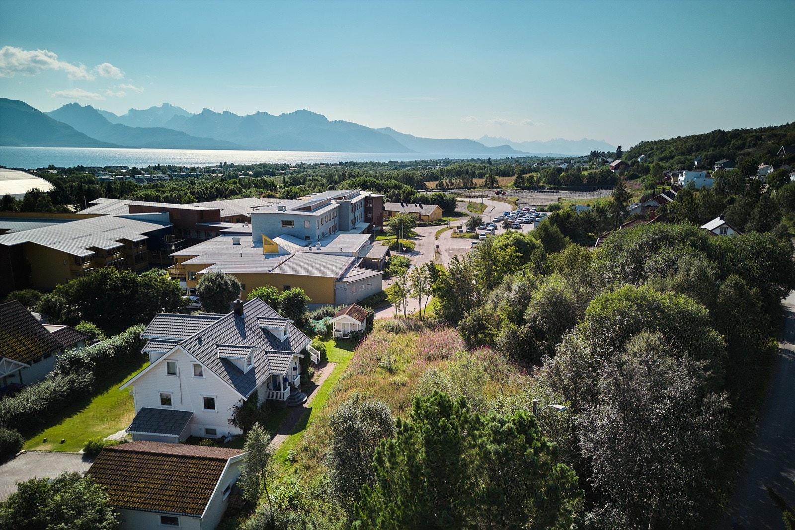 Det må påregnes å skjære bort busker og trær. Galleribilde