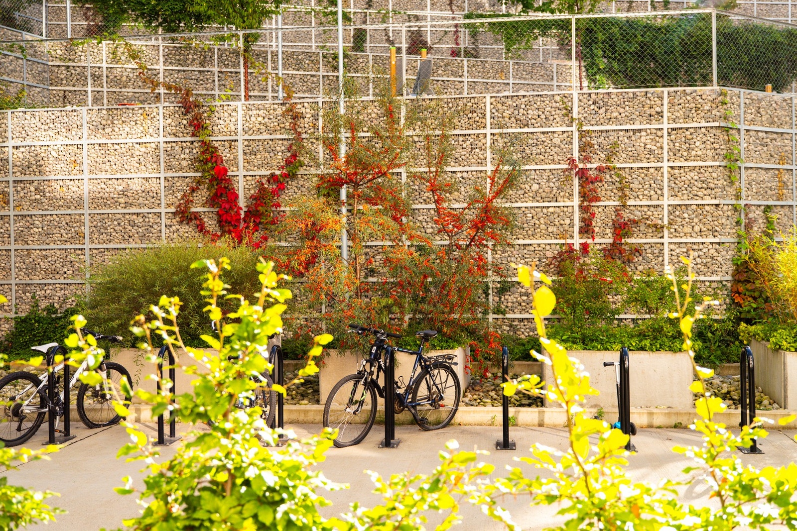 Borettslaget har pene fellesområder. Galleribilde