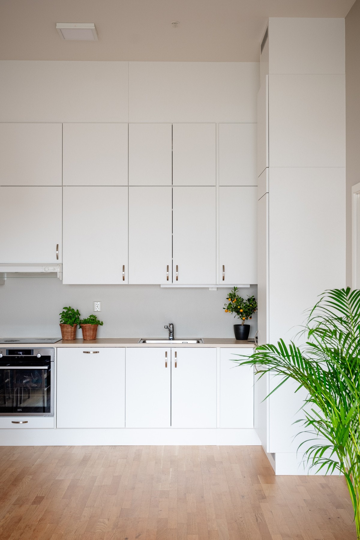 Det er overskapsbelysning og stikkontakter under skap, i tillegg til at det er montert lekkasjestopper og komfyrvakt. Galleribilde