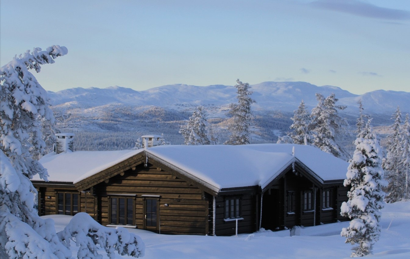 Einer er en eksklusiv hytte som "sklir" inn i naturen. Galleribilde