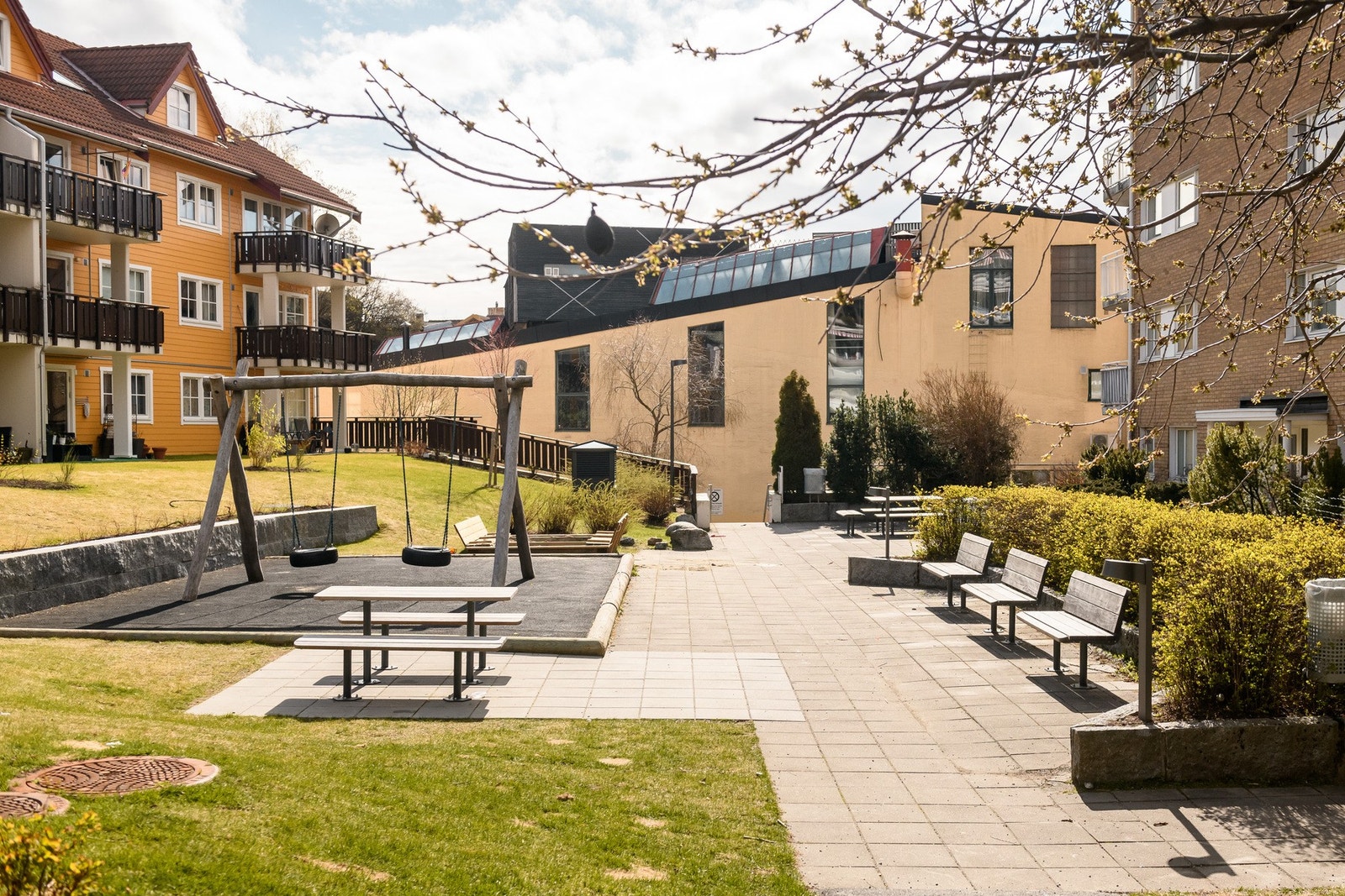 Herlig felles bakgård med plen og beplantning. Galleribilde