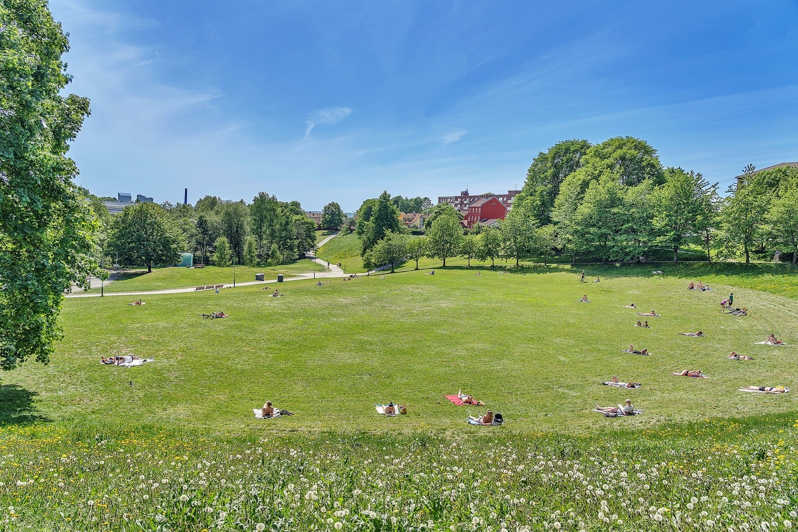 Myraløkka er et populært sted blant beboerne på Bjølsen og Sagene. Her finner du også Myrens sportssenter med klatrevegg, squash og styrkerom. Galleribilde