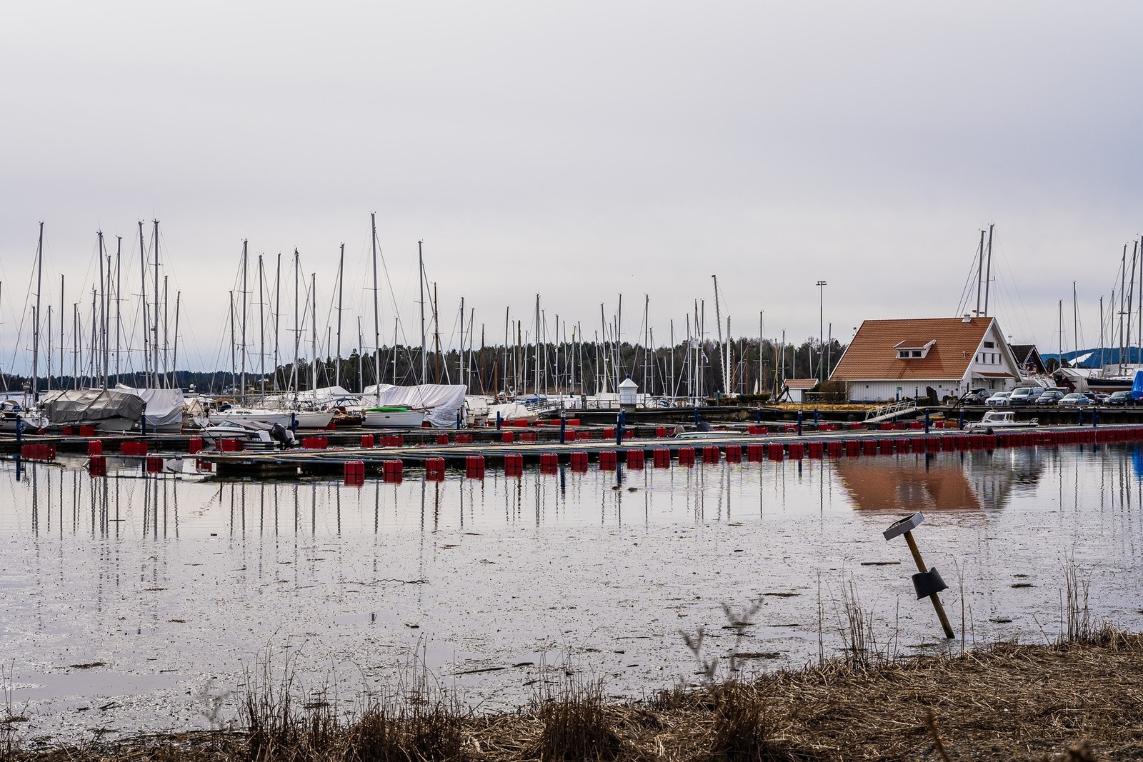 Hyggelige badeplasser nede ved fjorden! Galleribilde