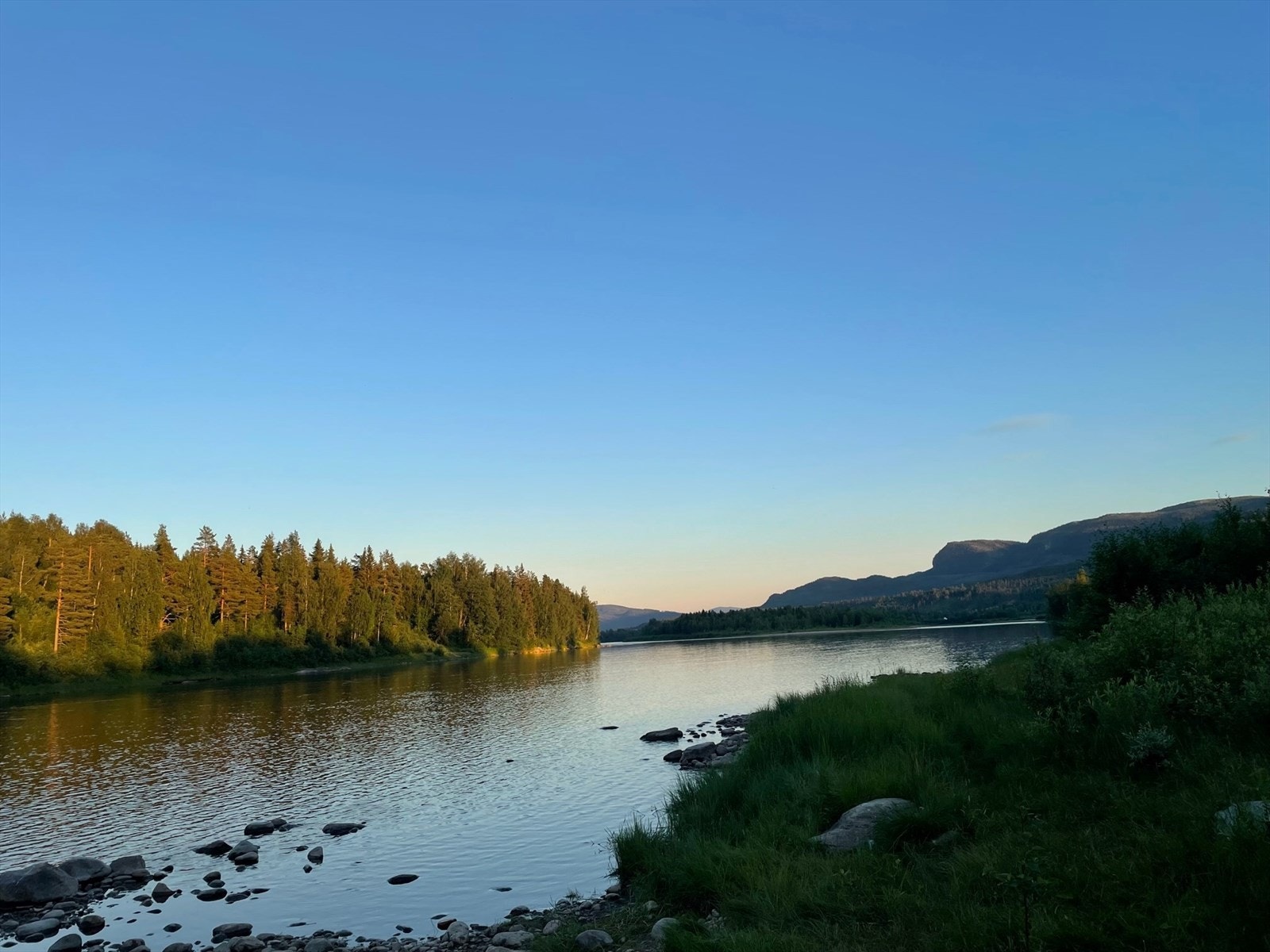 Glomma renner stille forbi Galleribilde
