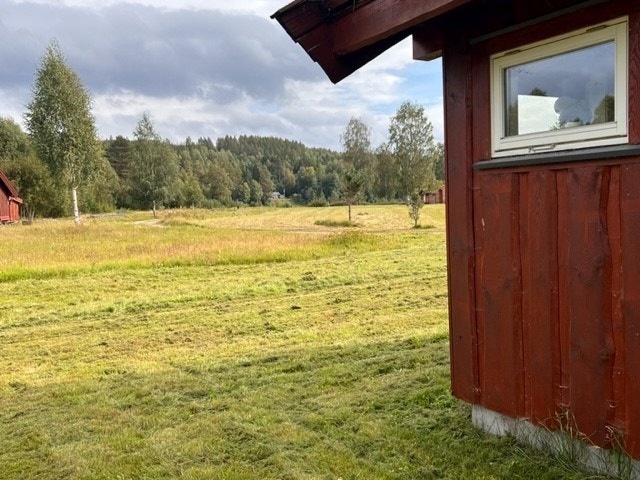 God plass imellom hyttene Galleribilde