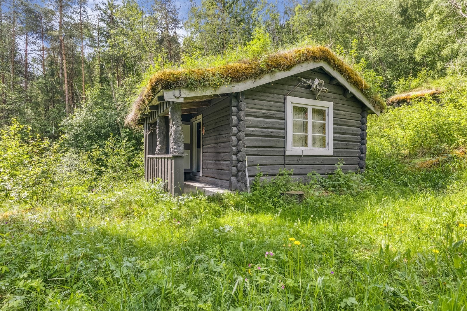 Annekset på eiendommen med torvtak og laftet tømmer. Galleribilde