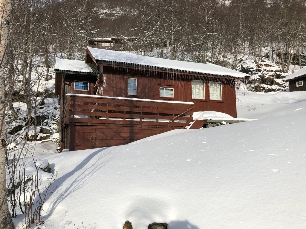 Fasade. Slik så hytten ut før den ble malt sort Galleribilde