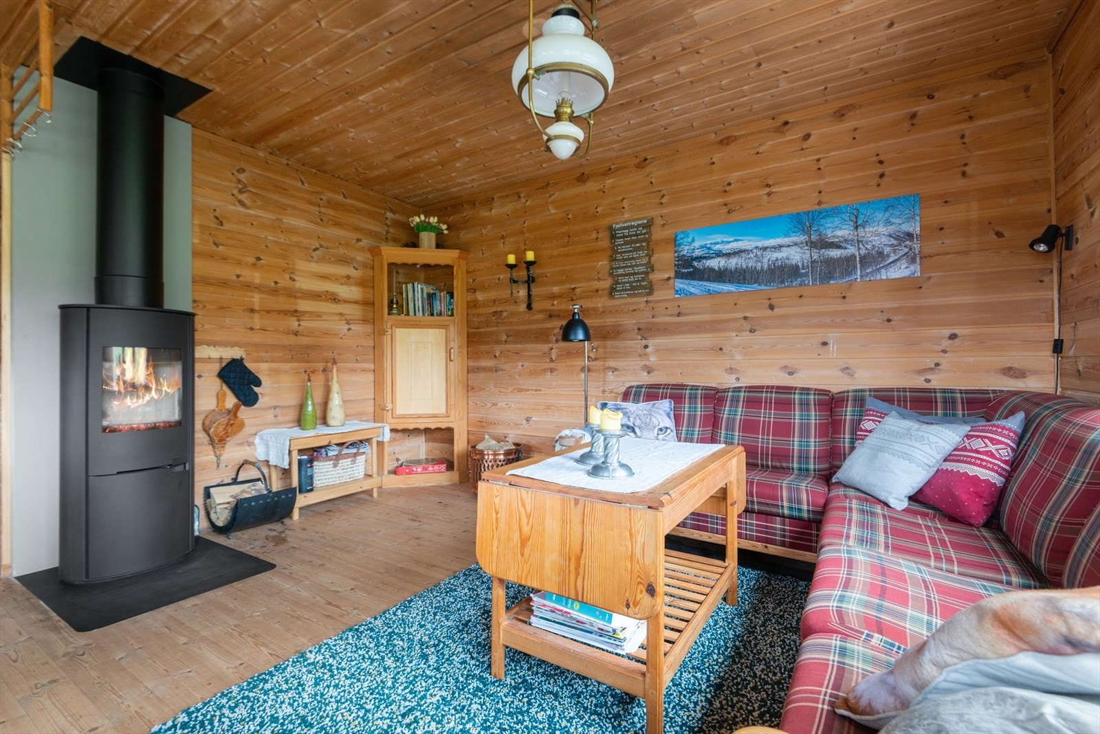 Ny vedovn og stålpipe i 2020. Galleribilde