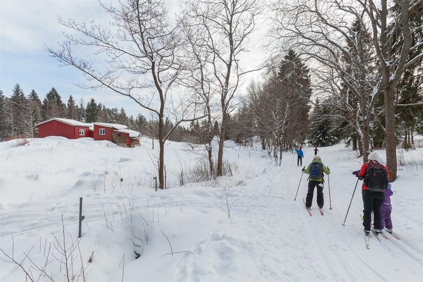 Ta på skiene hjemme og du kommer deg til fantastiske Lillomarka. Flotte løyper for både den aktive og mosjonistene. Galleribilde
