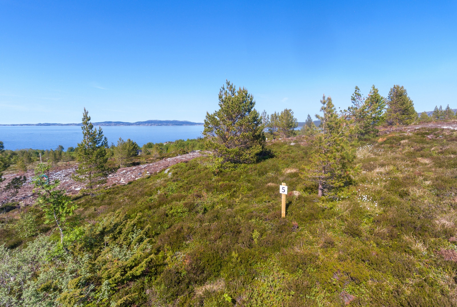 Tomt nr 5. Galleribilde