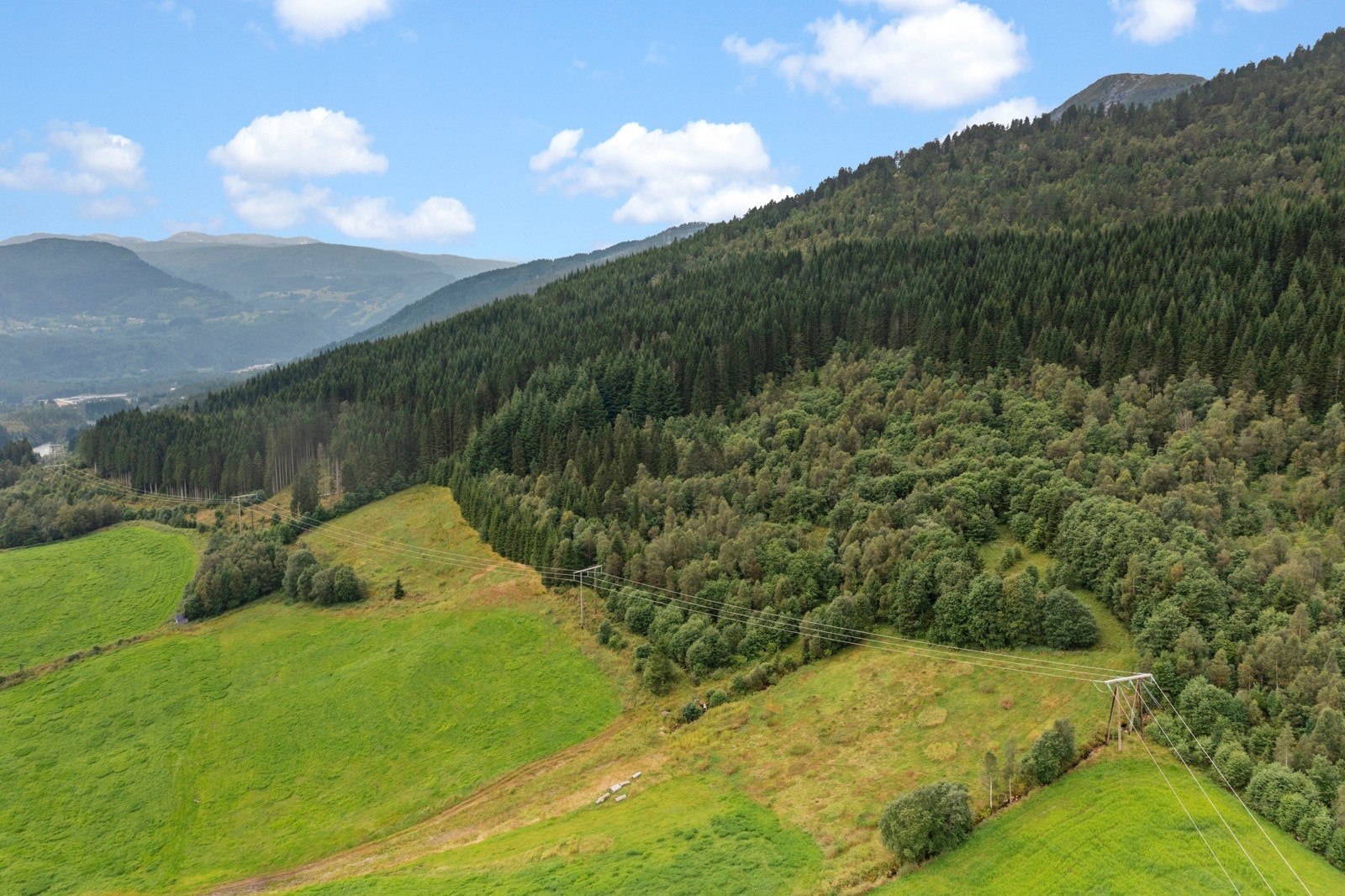 Plantefeltet som ligger på vestsiden av tunet er tilhørende eiendommen og er hogstmoden - se mer info i salgsoppgaven Galleribilde