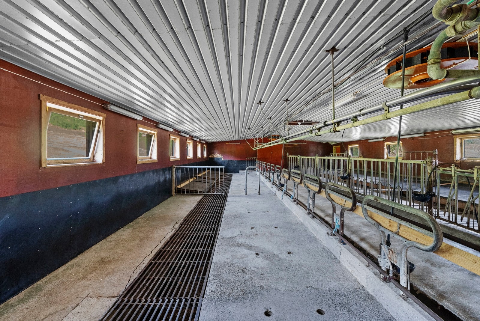 Fjøsrommet er innreda som båsfjøs for storfe Galleribilde