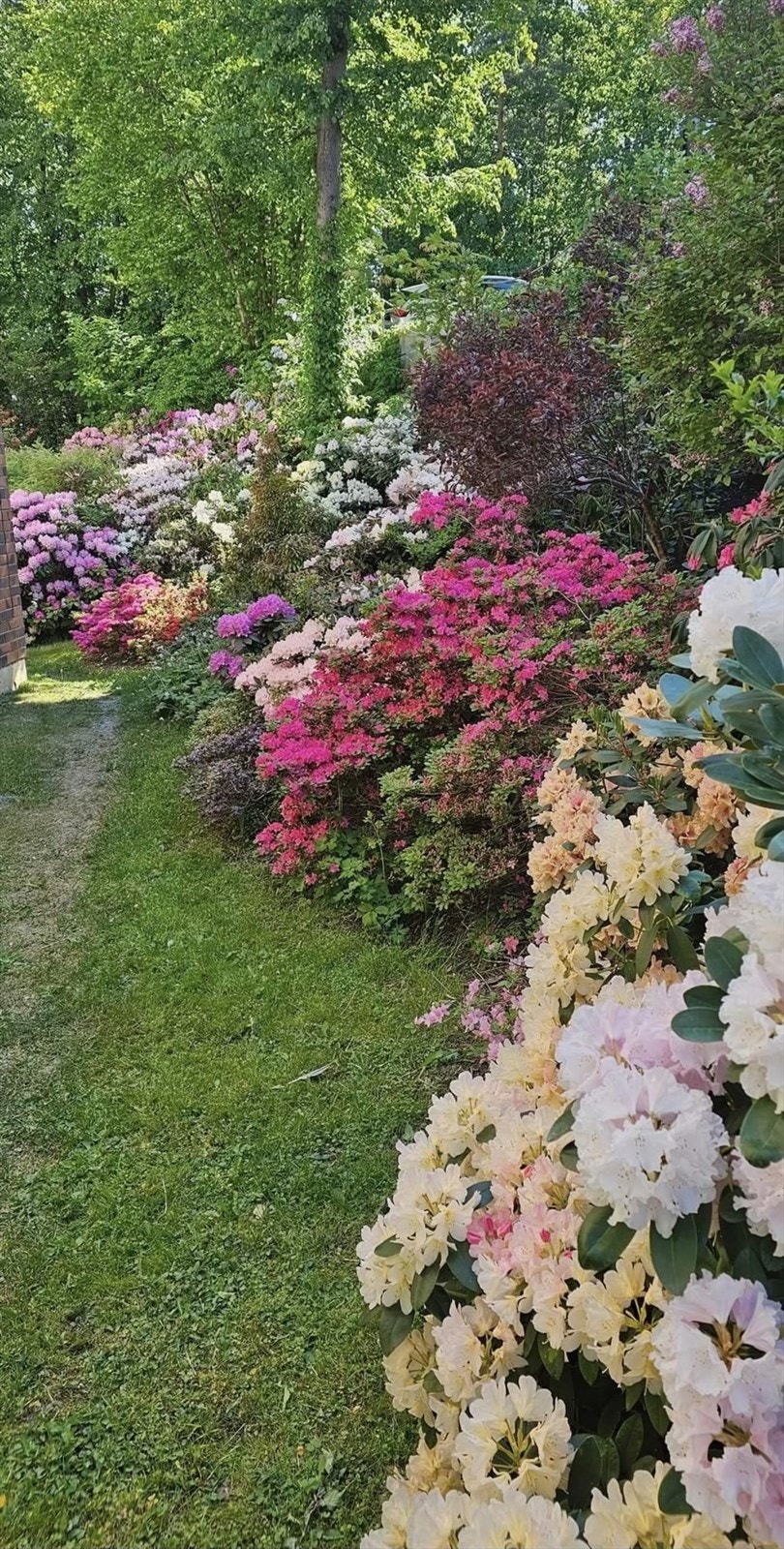 Tomten og fellesarealer er pent opparbeidet med grøntarealer, vegetasjon og asfalterte adkomstpartier. Galleribilde