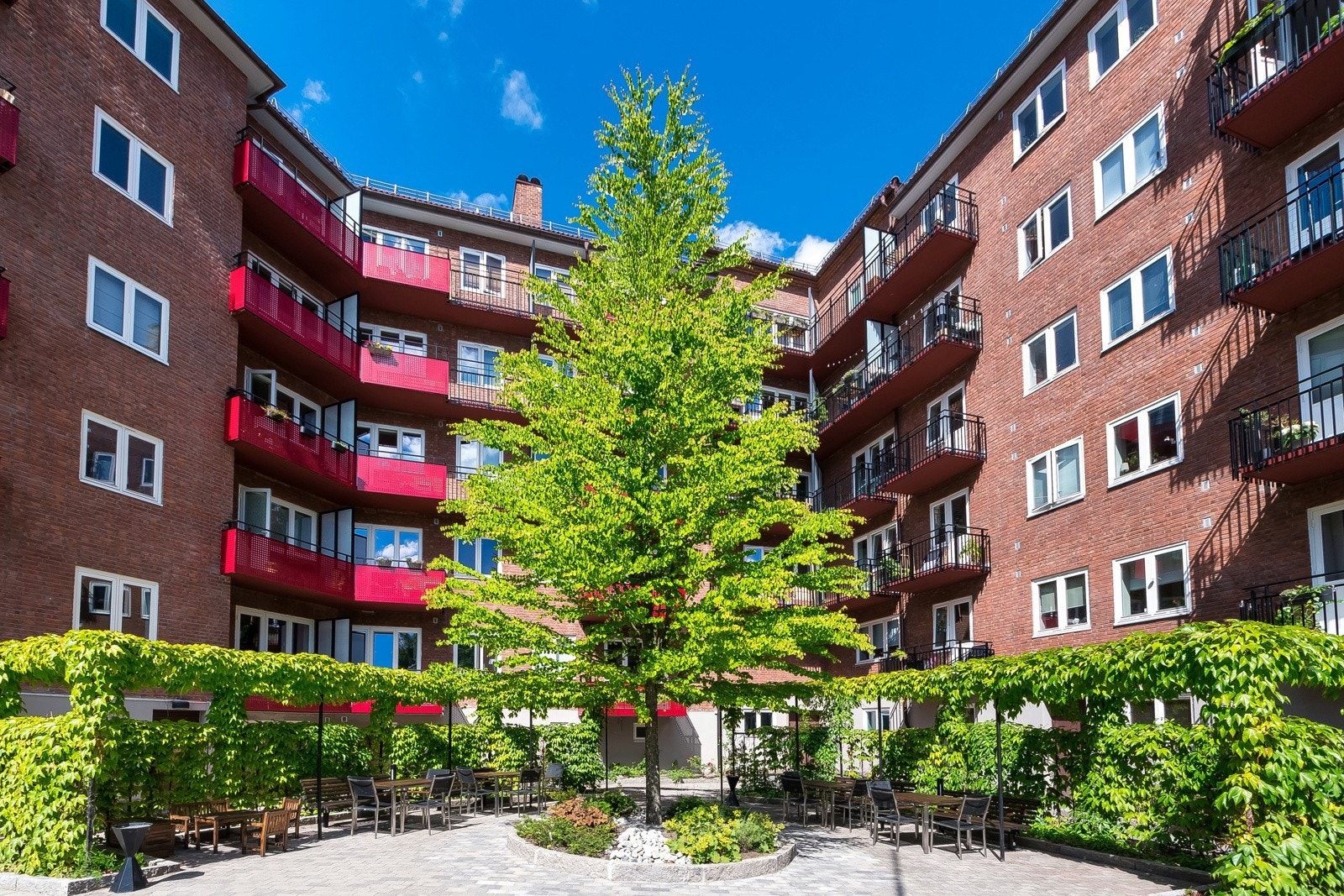 Borettslaget har en nydelig, park-lignende bakgård med flotte beplantninger, mye grønt og flere sittegrupper. Galleribilde