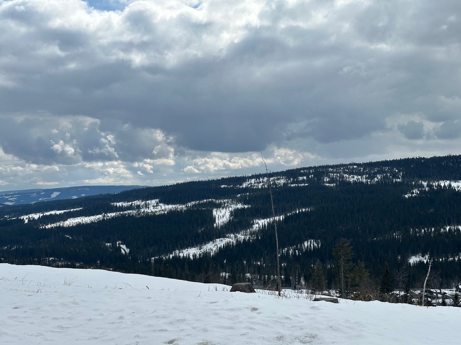 Utsikt fra tomten. Galleribilde