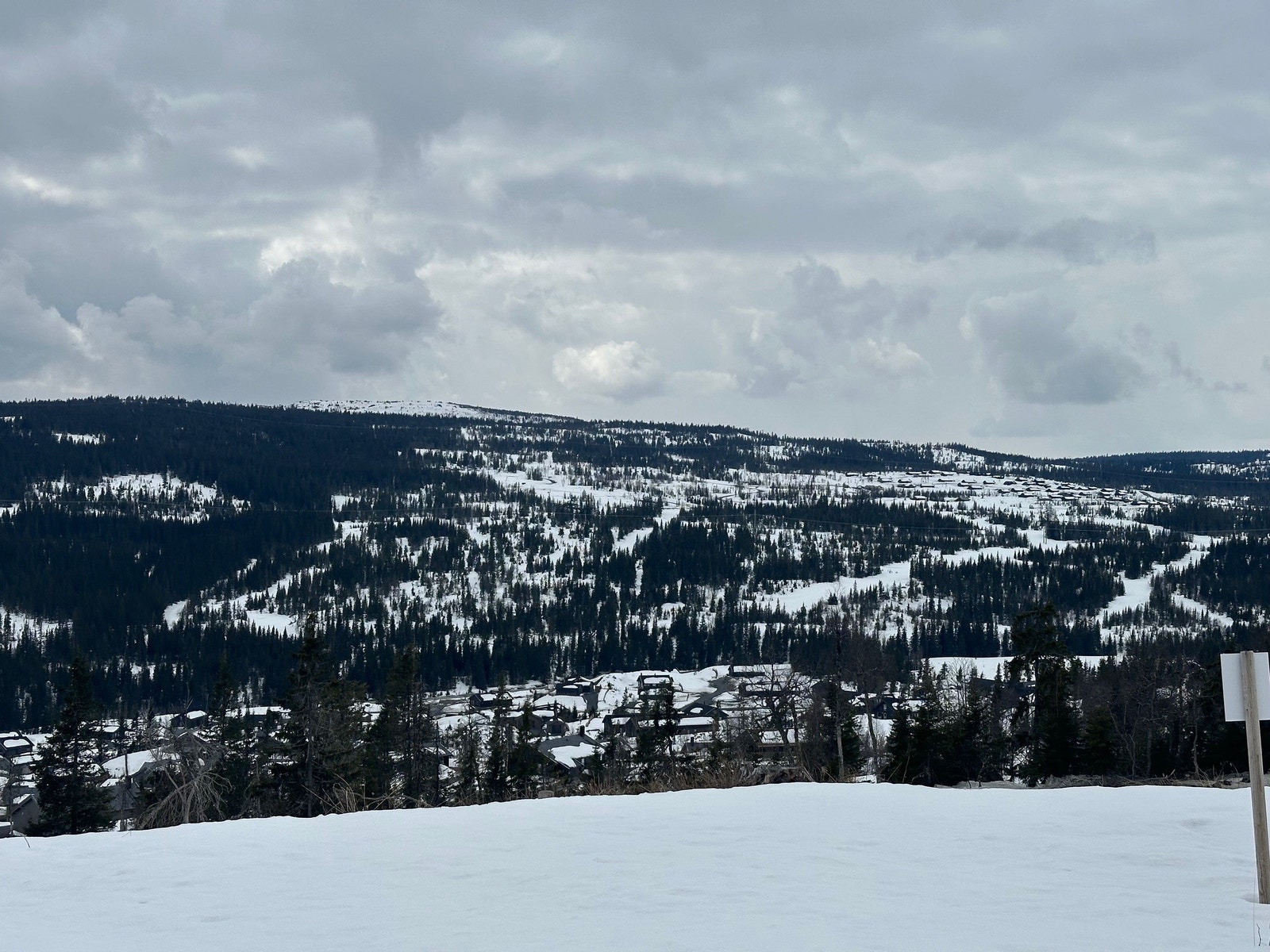 Utsikt fra tomten mot Kjoslia/ Austlid. Galleribilde