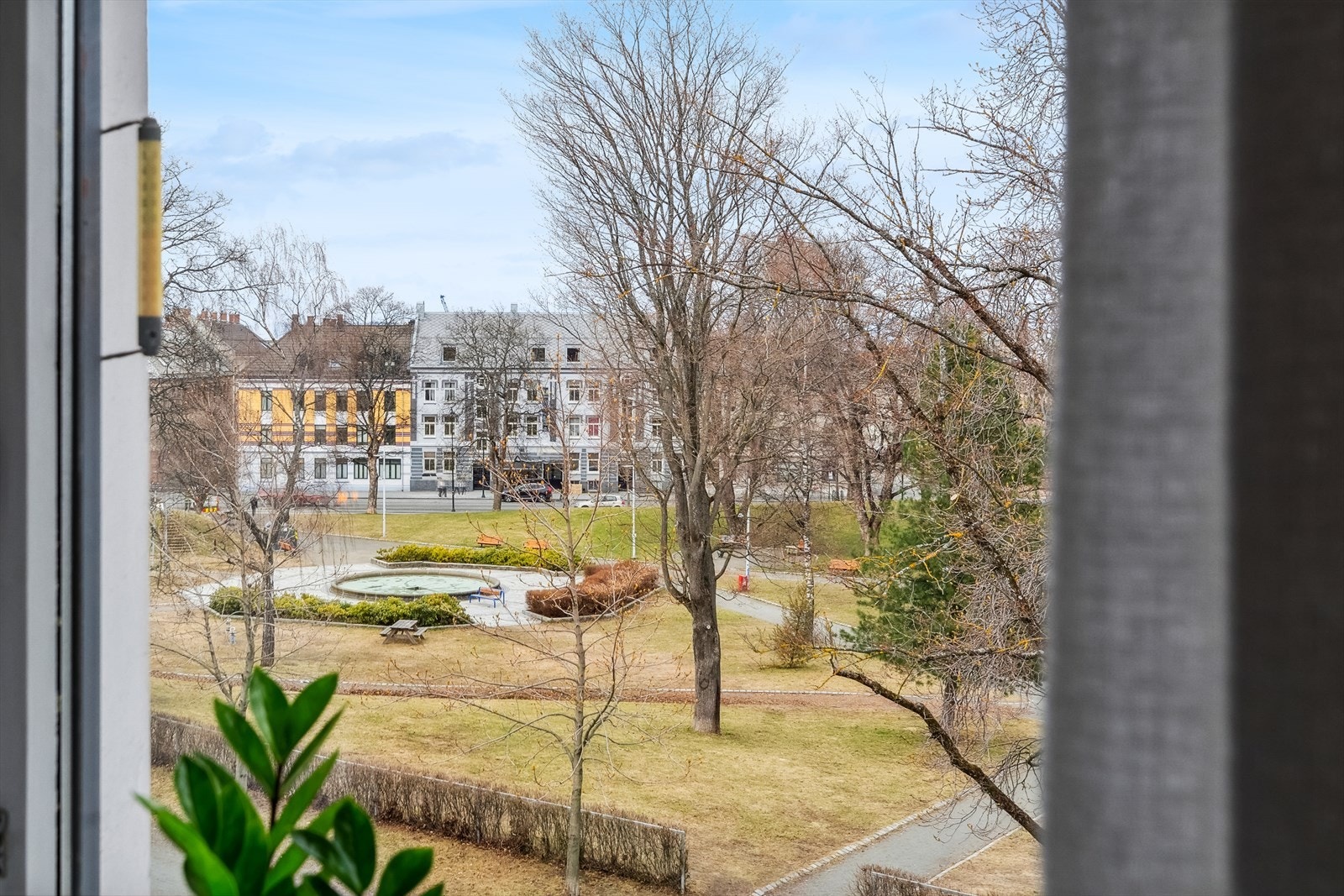Fra stuen kan man se rett ut på idylliske Lademoen Park. Galleribilde