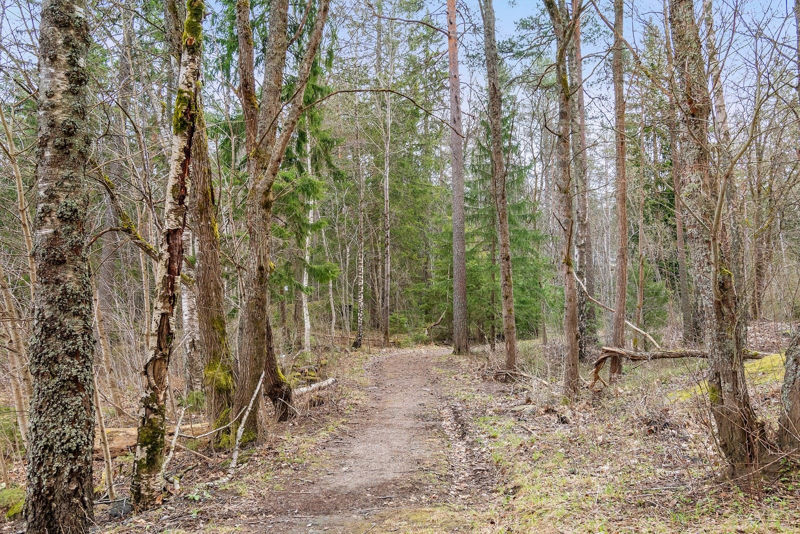 Flotte turområder like utenfor blokken! Galleribilde