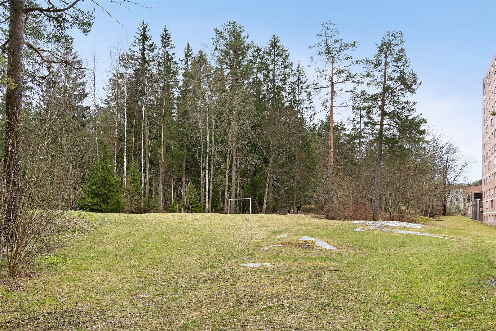 Store grøntområdet i borettslaget Galleribilde
