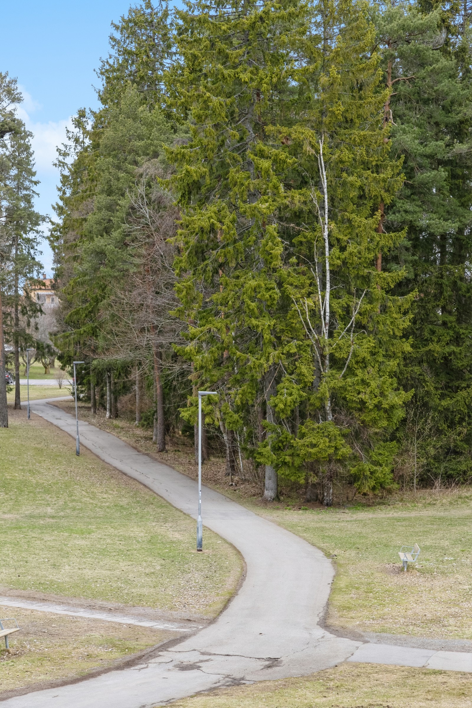Lambertseter lysløype "Grisern" Galleribilde