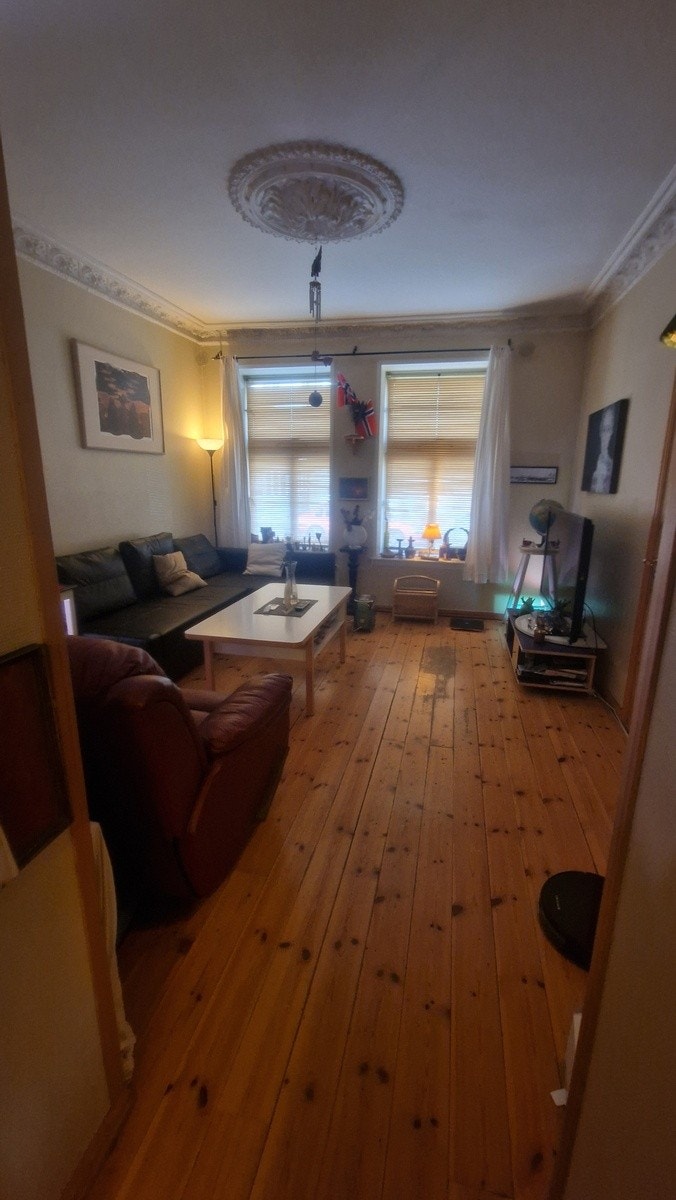 Stuen med sovesofaen og tv Galleribilde