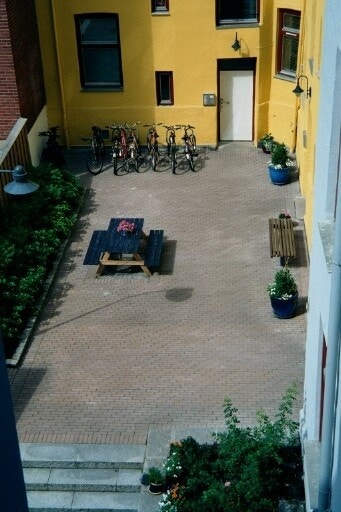 Bakgården med mye grønne vekster Galleribilde