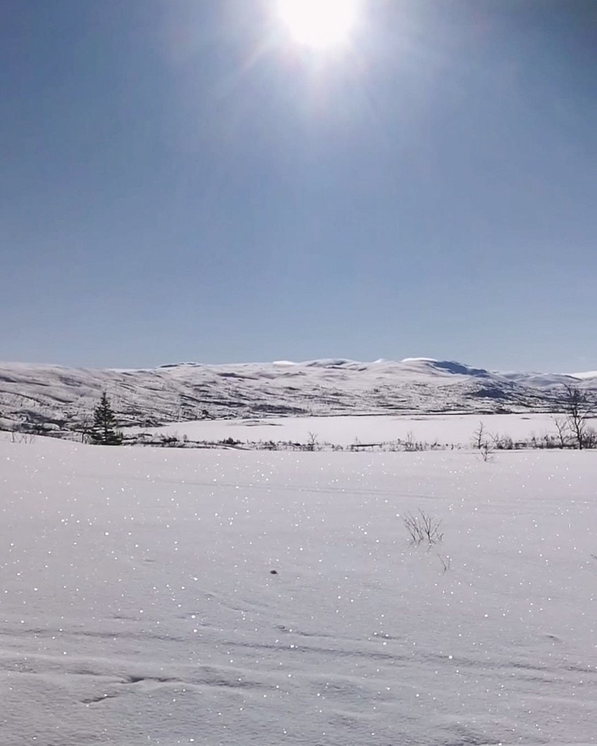 Utsiktsbilde Galleribilde