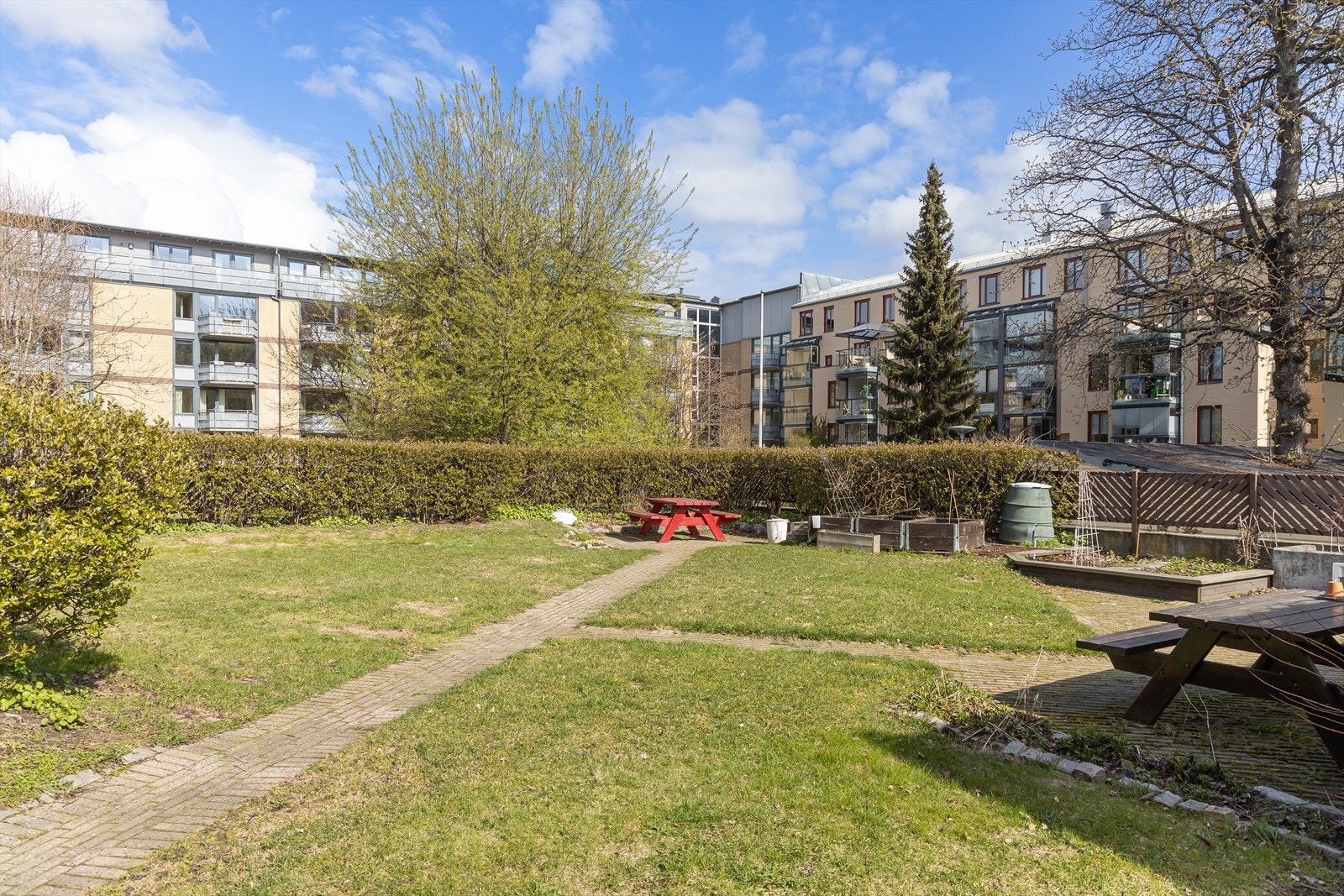 Pent opparbeidet bakgård med plen, beplantning og sittegrupper. Galleribilde