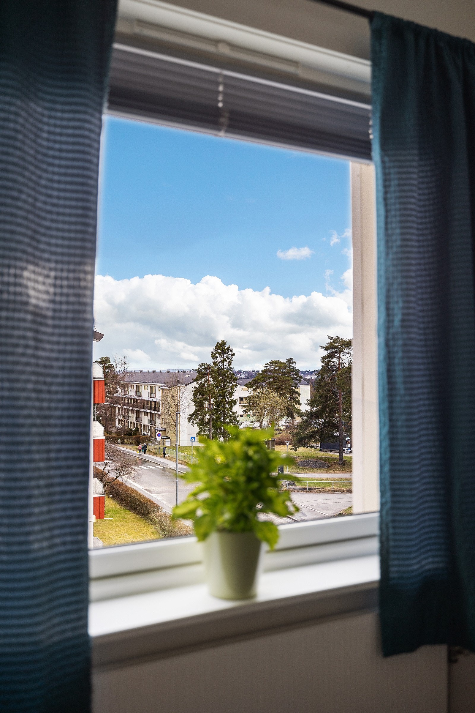 Utsikt fra soverommet Galleribilde