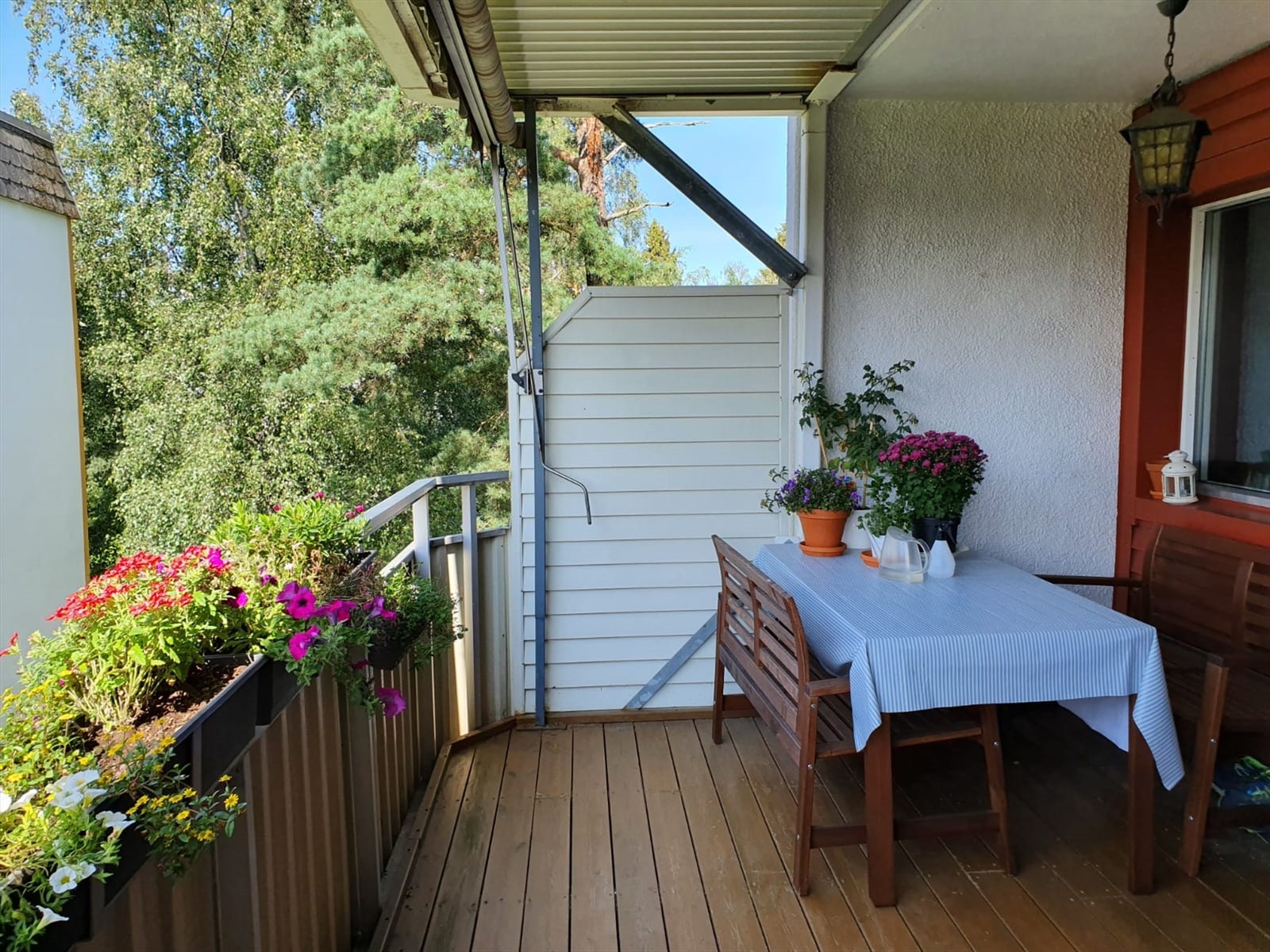 Selgers private sommerbilde. Galleribilde