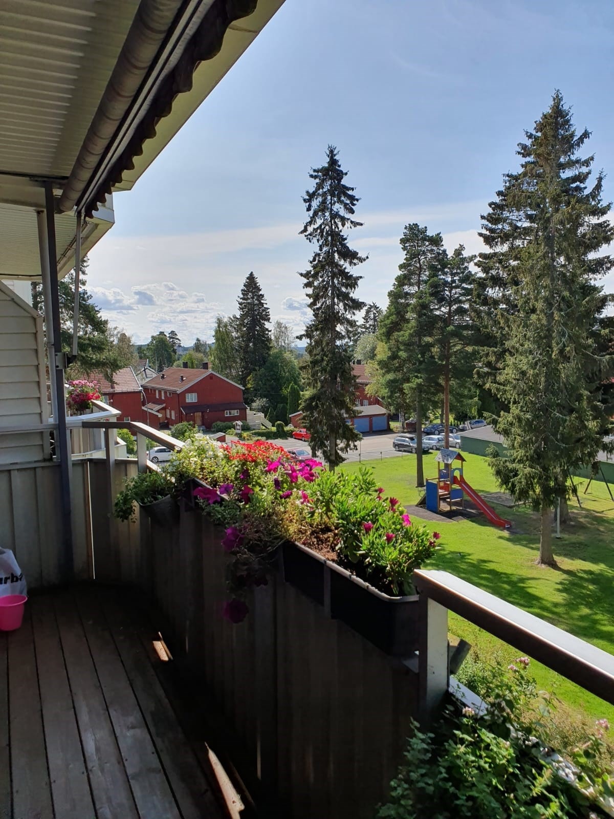 Selgers private sommerbilde. Galleribilde