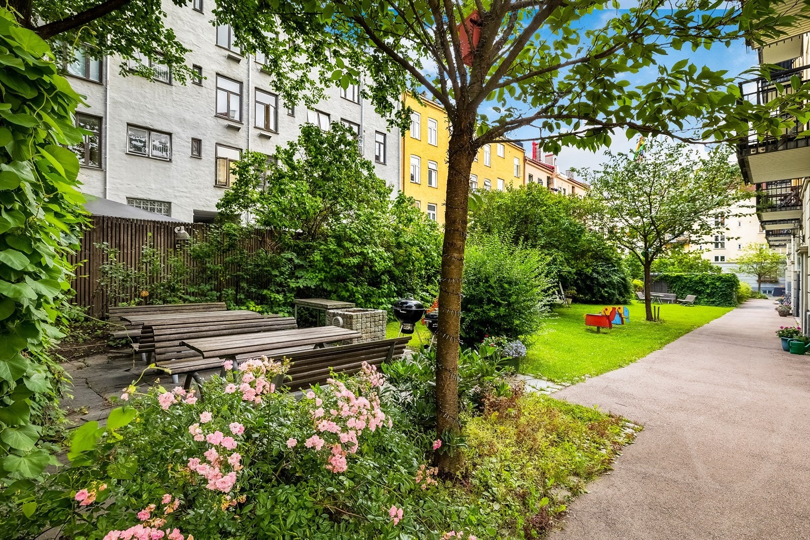 - Grønn og frodig bakgård - Galleribilde