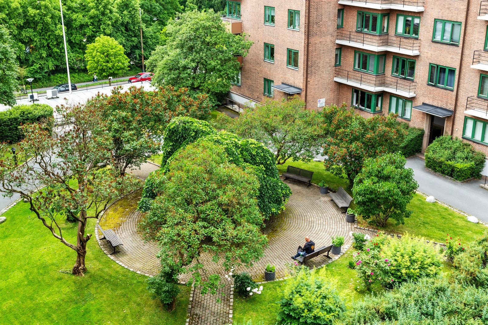 Borettslagets bakgård er virkelig en grønn oase på sommerstid. Galleribilde