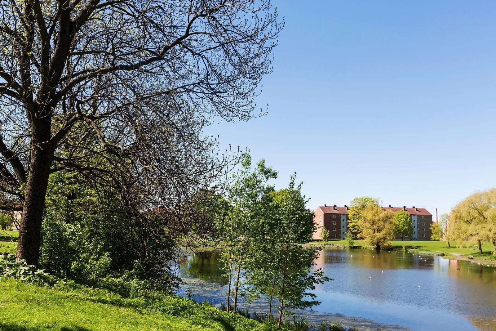 Det er kort vei til hyggelige Hovindammen med gode tur- og rekreasjonsmuligheter. Her fra idylliske Hovindammen. Galleribilde