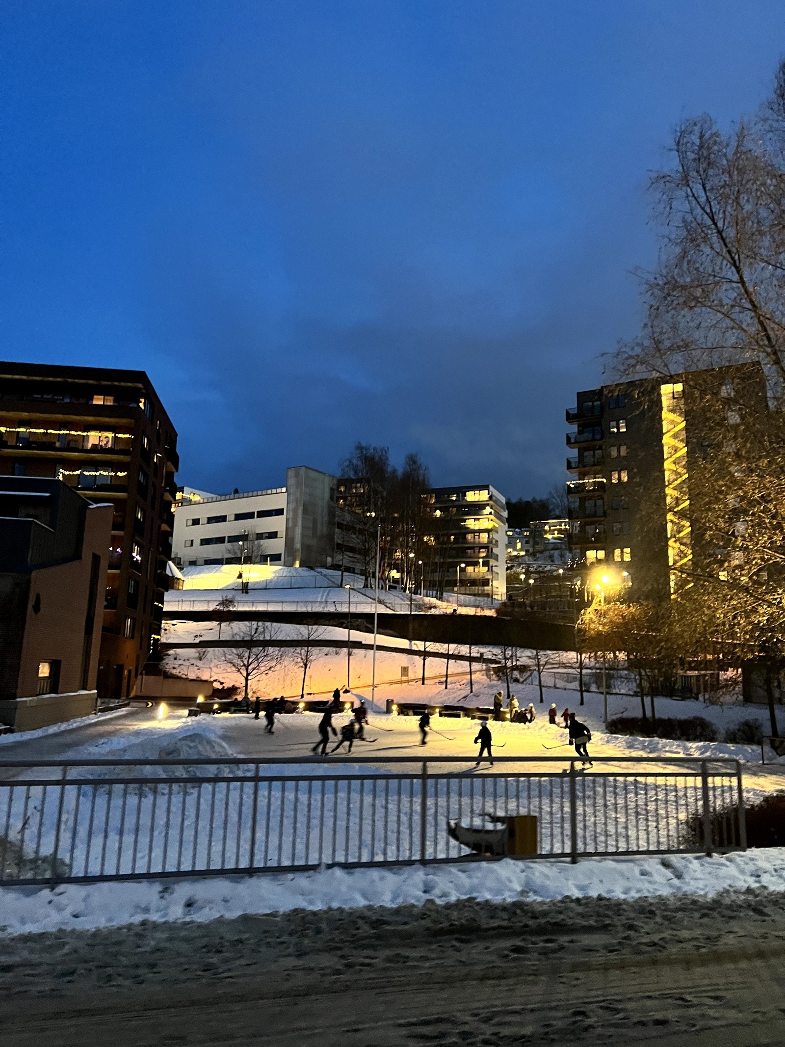 På vinterhalvåret kan du ta frem skøytene, og om sommeren er dette et fint sted å samles eller gå tur. Galleribilde