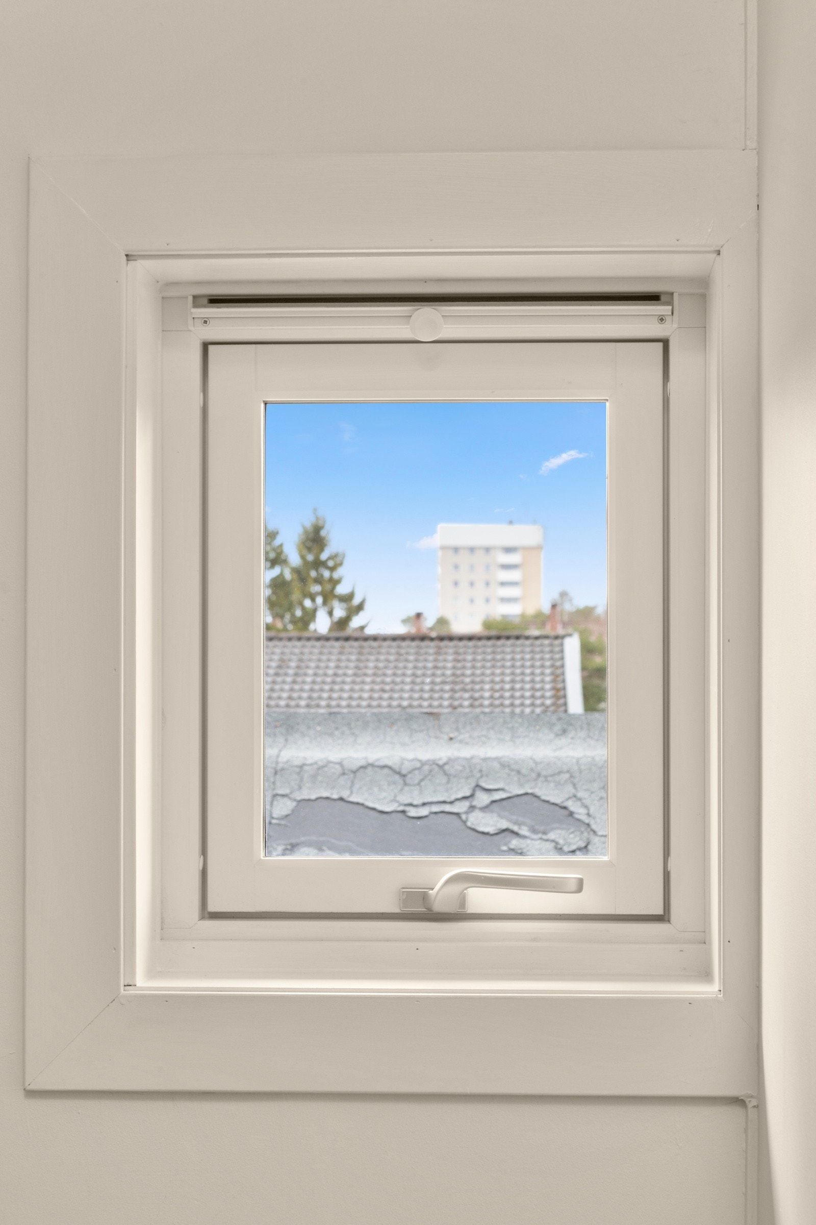 På dette rommet er et vindu som gir godt med lysinnslipp Galleribilde