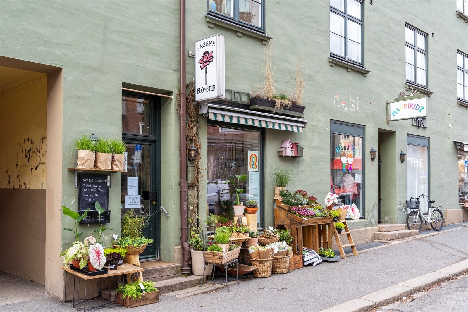 Nærområdet. Galleribilde