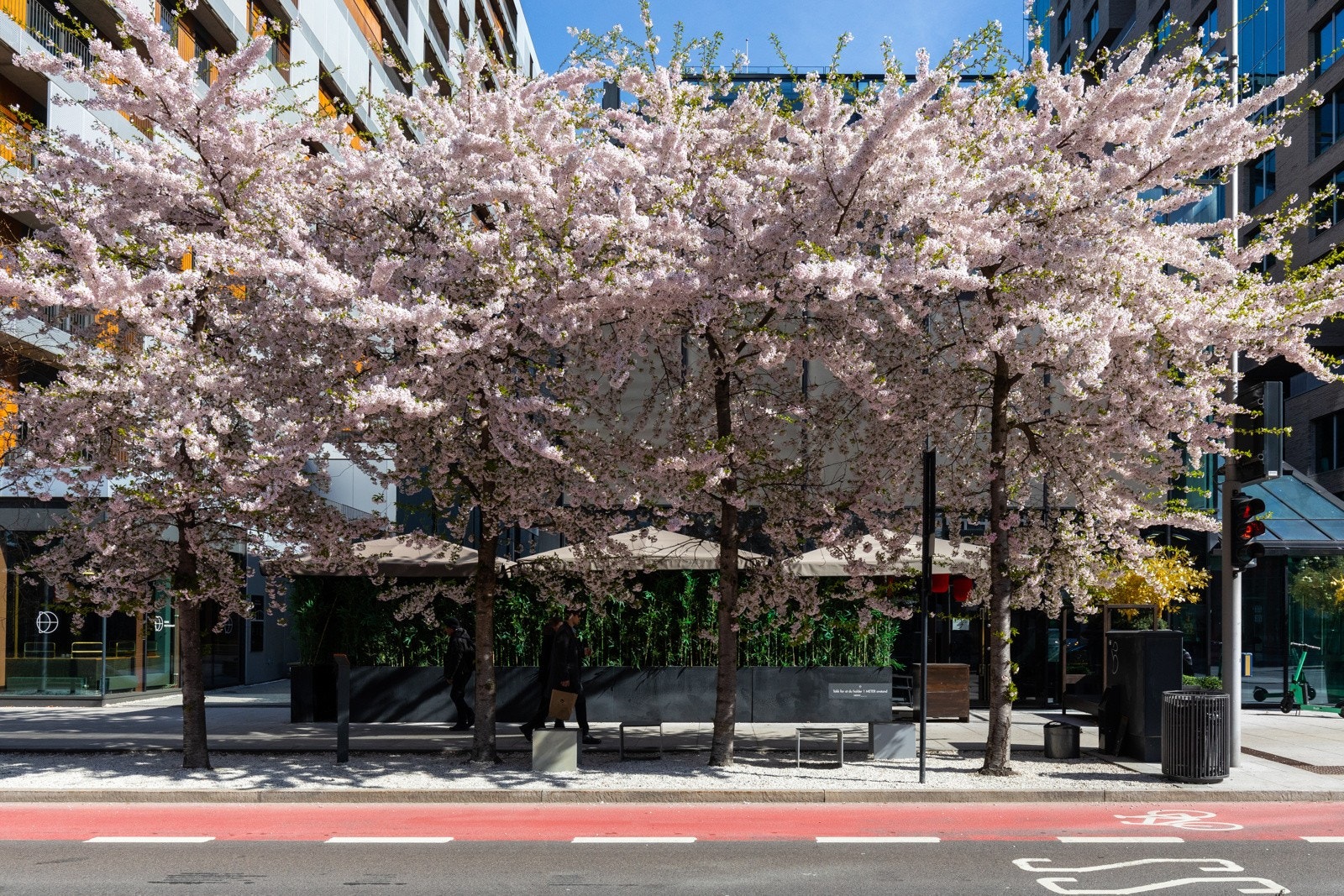 Nærområde. Galleribilde