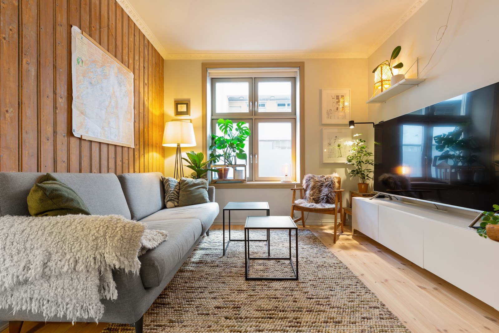 Flott furugulv nytt i 2020. Galleribilde