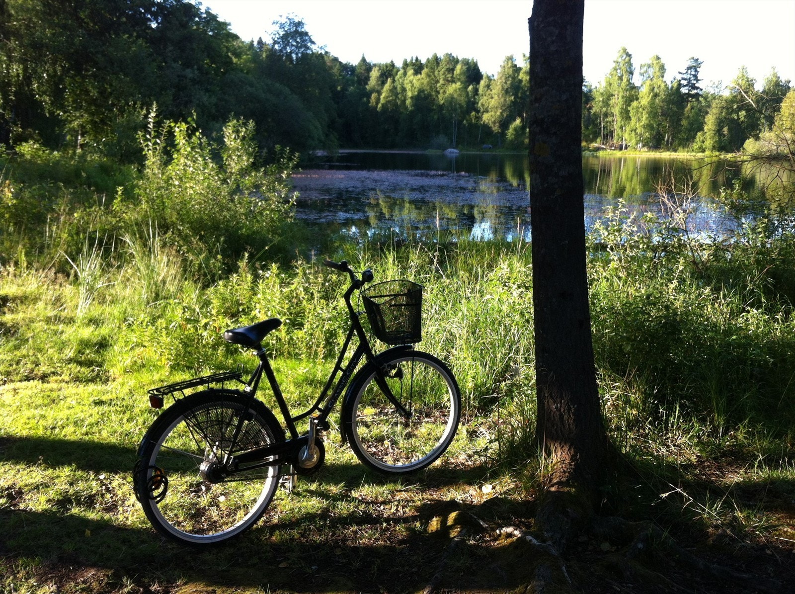 Ta deg en helt impulsiv kveldsdukkert ved Bråten (Nøklevann) Galleribilde