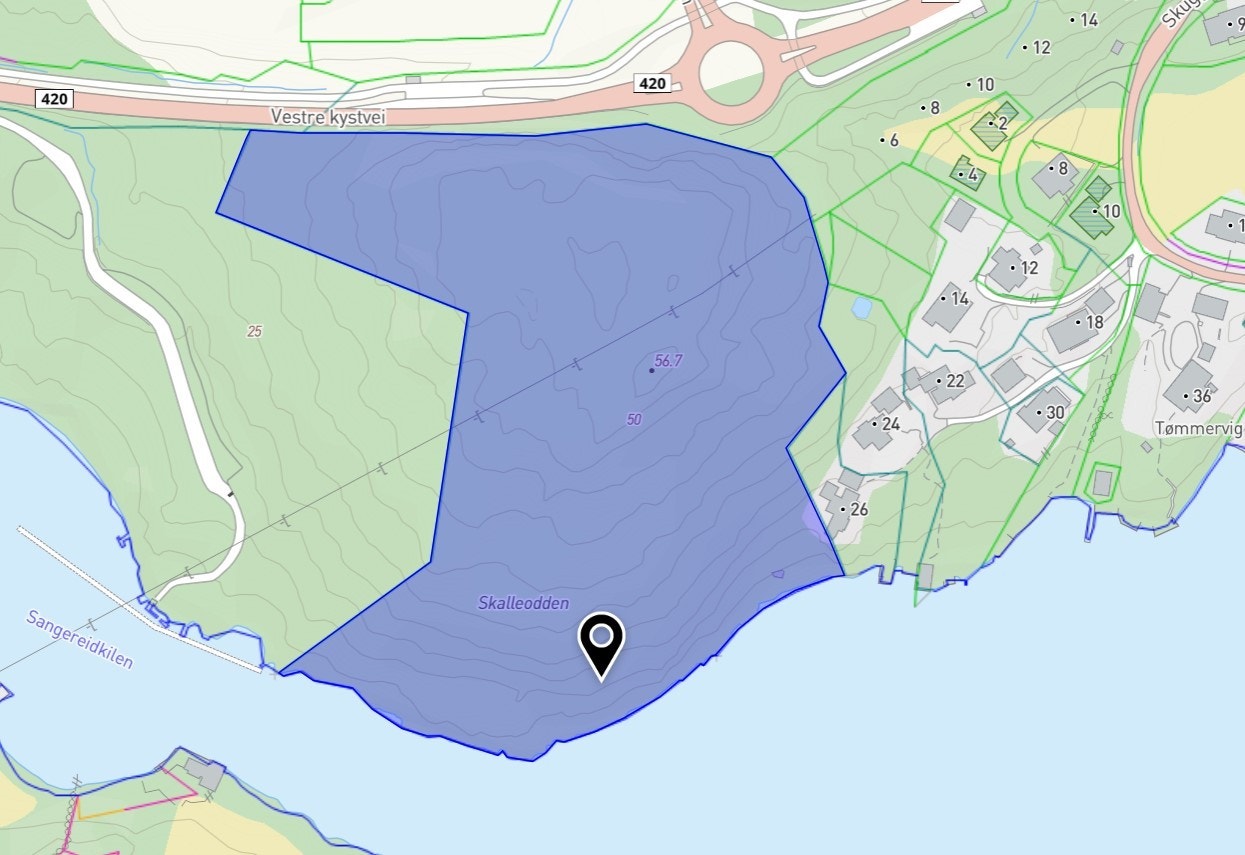 Situasjonskart Skalleodden Galleribilde