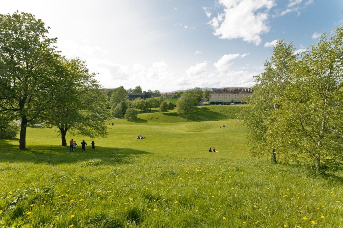 Torshovdalen i sommerdrakt. Galleribilde