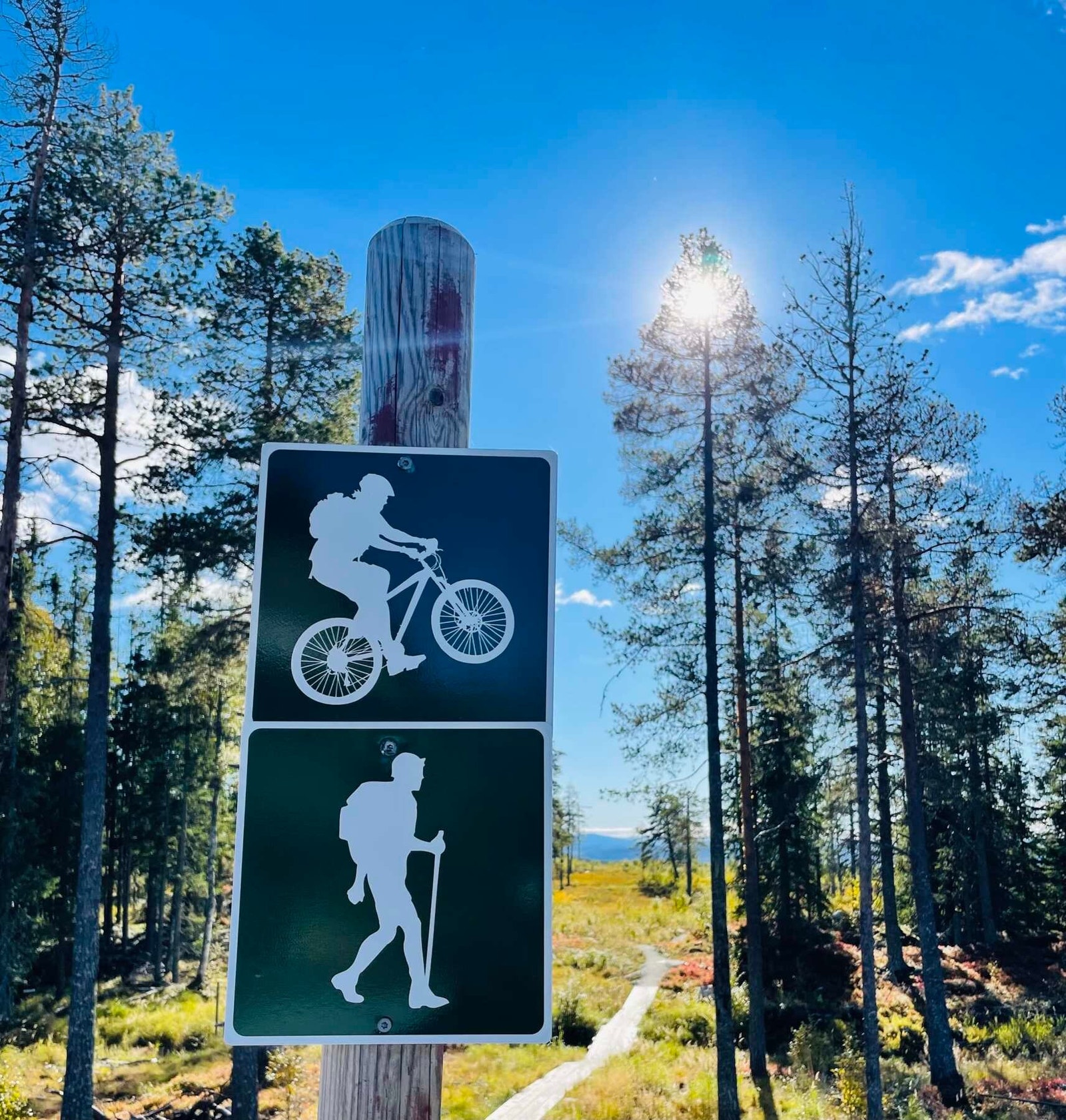 Fra turstier i området Galleribilde