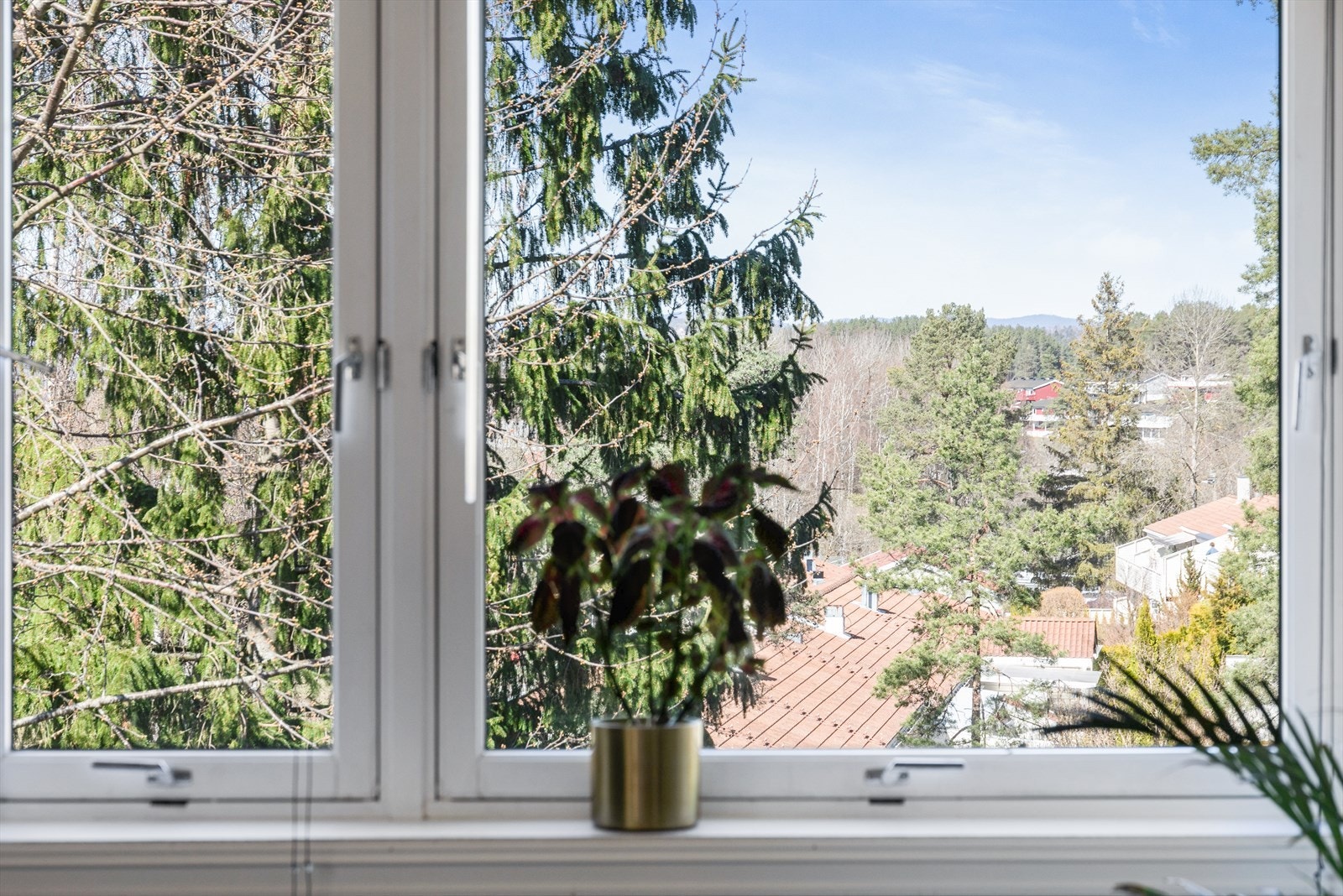 Utsyn fra stue. Galleribilde
