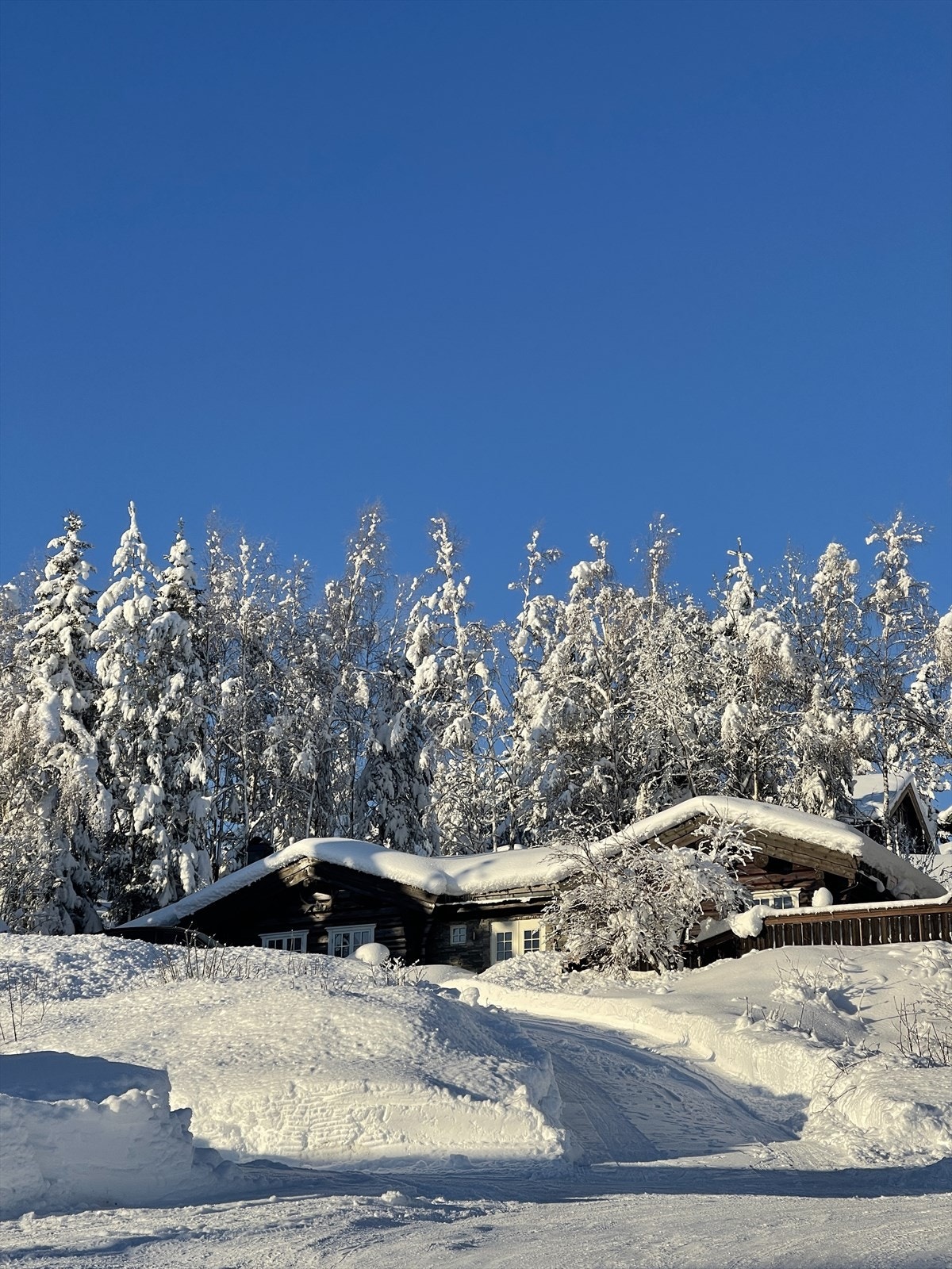 Vinterbilder fra selger Galleribilde