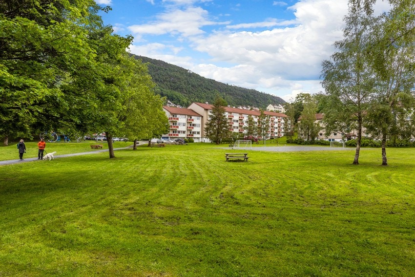 Fine uteområder ved boligen. Det er parkeringsmuligheter på aksjelaget sin tomt, med muligheter for lading av El-bil. Galleribilde