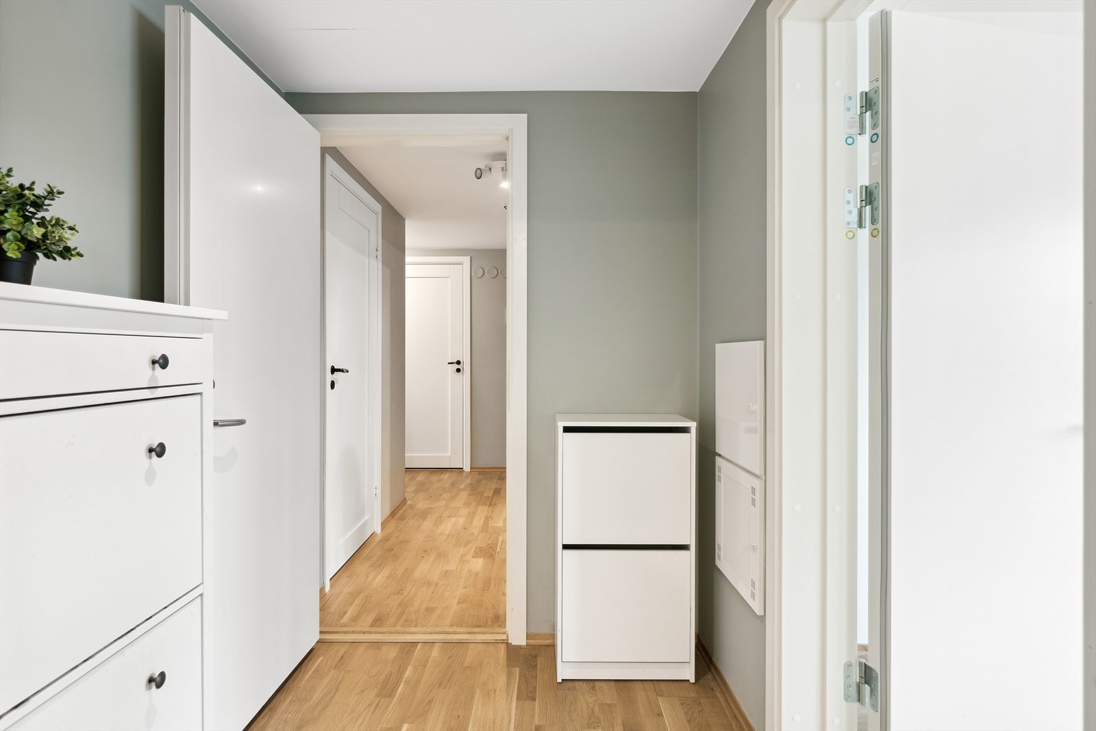 Felles entré med plass til skoskap og oppheng. Hybelen har egen inngang til høyre mens hoveddelen er rett frem Galleribilde